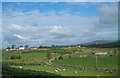 Sheep grazing land east of The Square