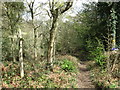 Footpath at St John