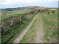 SY6287 : Bridleway on Bronkham Hill by Philip Halling