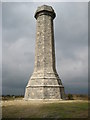 SY6187 : The Hardy Monument by Philip Halling