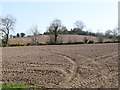 Ploughed fields above the Bronte Road