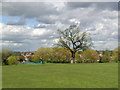 Cuddington Recreation Ground