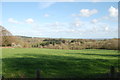 View towards Snape Wood