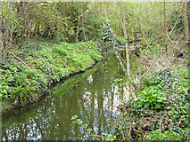 TQ2165 : The Hogsmill River by Robin Webster