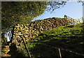 Wall and fence near Pyefield House