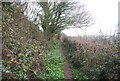 Footpath to Bothenhampton