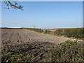 Ploughed land on the north side of Ballynafern Road