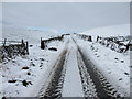 SD8074 : Lane to High Birkwith on a snowy morning by John S Turner