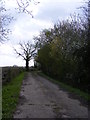 TM3671 : The entrance to Grove Farm by Geographer