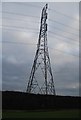 Pylon near The Hoath Farm