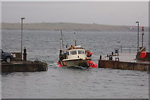 ND3773 : Fishing boat enters John O'Groats harbour by Roger Davies