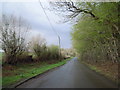 Road near St Glears Farm