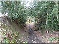 Bridleway descending to Hatch Farm