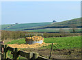 ST8337 : 2012 : Cattle feeder near Dairy Farm by Maurice Pullin