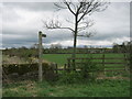 NZ1418 : Stile for footpath from the B6274 to Westholme Bridge by peter robinson