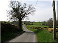 Linear settlement along Curley Road