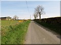 Curley Road ascending towards the cross roads with Ardaragh Road