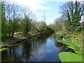 River Wandle seen from Windsor Avenue