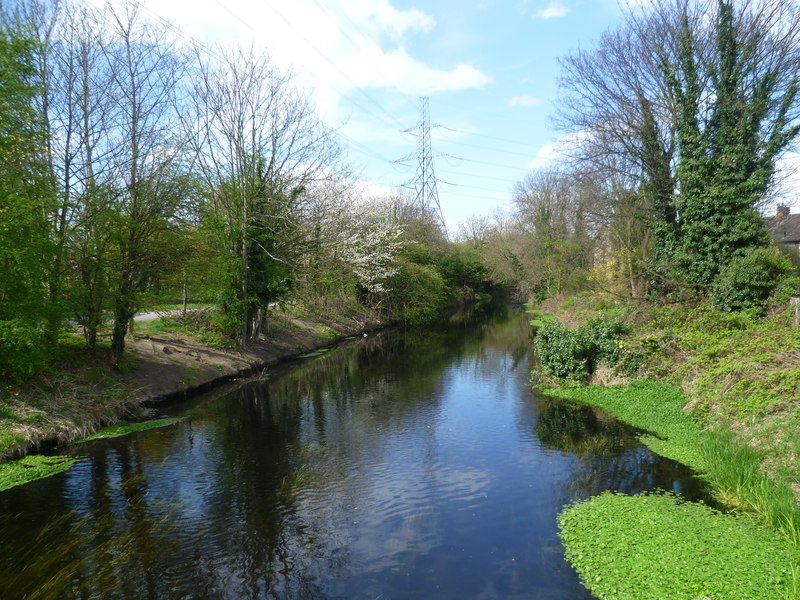 River Wandle Seen From Windsor Avenue Marathon Cc By Sa 2 0   2894718 558b52b3 800x800 