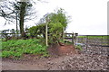 Fingerpost, Stile and Footpath off Hollington Lane