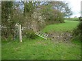 Blackcroft Coppice