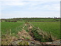 Stream above the Annaghbane Road bridge