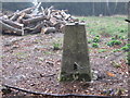 Ordnance Survey Trig Pillar S5160