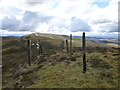 NT0631 : Double line of fence posts near the summit of Cardon Hill by Alan O'Dowd