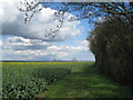 Footpath to Debdale