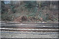 Railway lines merge near Charlton