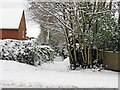 Cross Lanes in the snow, Guildford