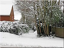 TQ0049 : Cross Lanes in the snow, Guildford by L S Wilson