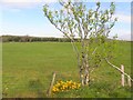 Garvaghy Townland