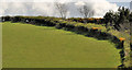 J4152 : Field and hedge, Listooder, Saintfield by Albert Bridge