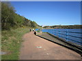 Walking east along the Tyne