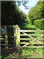 Rustic footpath by the A5