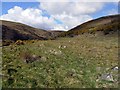 NT9725 : Valley of Carey Burn by Andrew Curtis