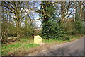 Footpath off Pillar Box Lane