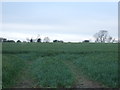 Farmland near Bagby