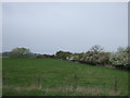 Farmland off Dalton Lane