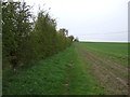 Bridleway heading north from Ox Close lane