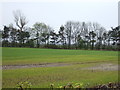 Farmland near Cundall