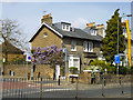 Corner house with Wisteria