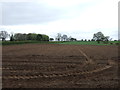 Farmland off Pasture Lane