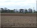 Farmland off Hall Lane