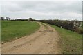 Farm track near Laughton Lodge