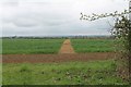 Footpath off Mareham Lane at Beacon Hill