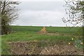 Footpath across field, off Mareham Lane