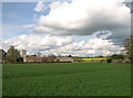 View across fields towards All Saints church in Stoke Ash