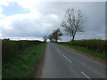 Skelton Lane towards Ripon